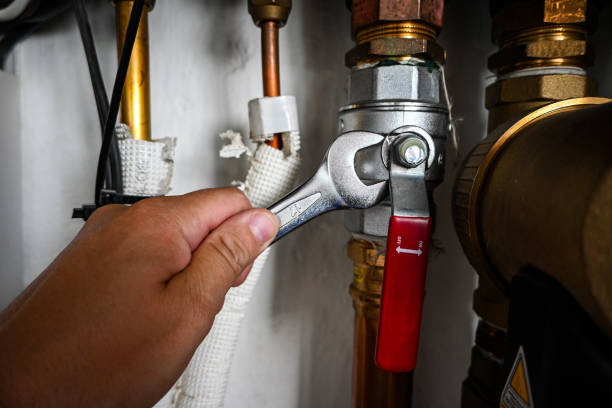 Best Local Plumber Services  in USA